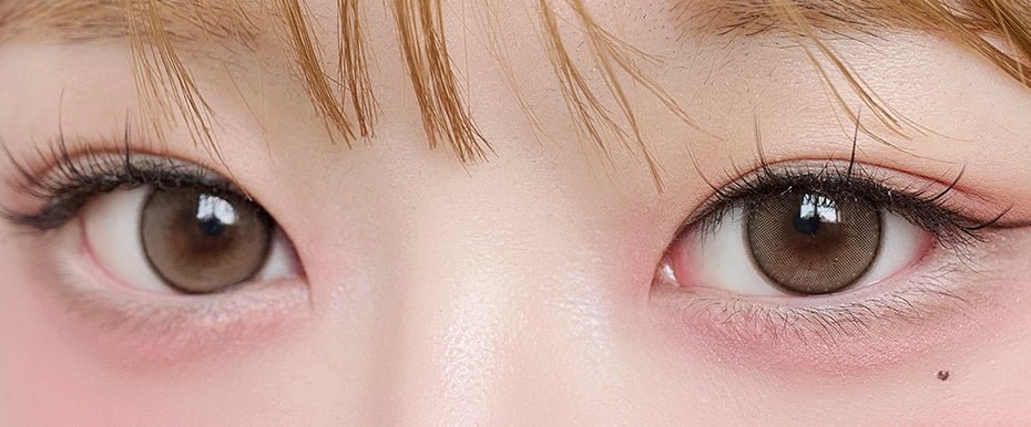 LensVery ShuShu 1Day Brown (10p) colored contact lens, 13.6mm graphic diameter, Daily wear