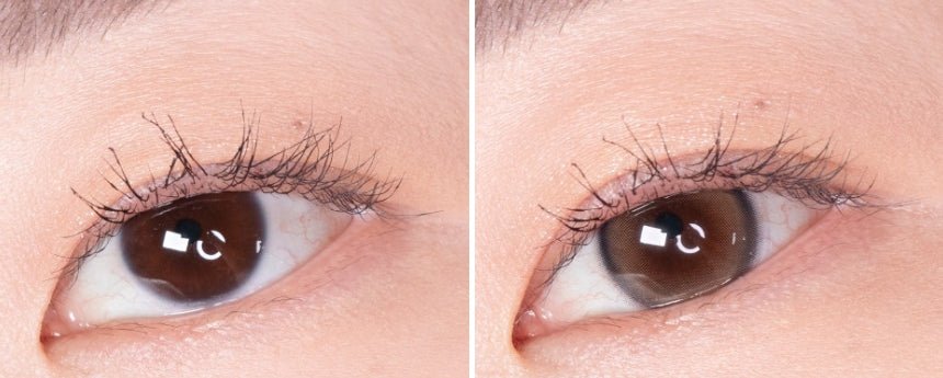 LensVery Sweetfy Brown colored contact lens, 13.3mm graphic diameter, Monthly wear