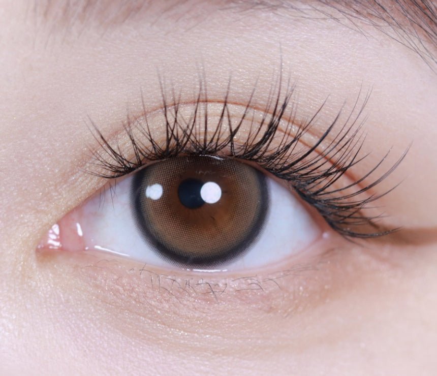 LensVery Sweetfy Brown colored contact lens, 13.3mm graphic diameter, Monthly wear