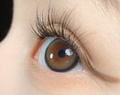 LensVery Sweetfy Brown colored contact lens, 13.3mm graphic diameter, Monthly wear