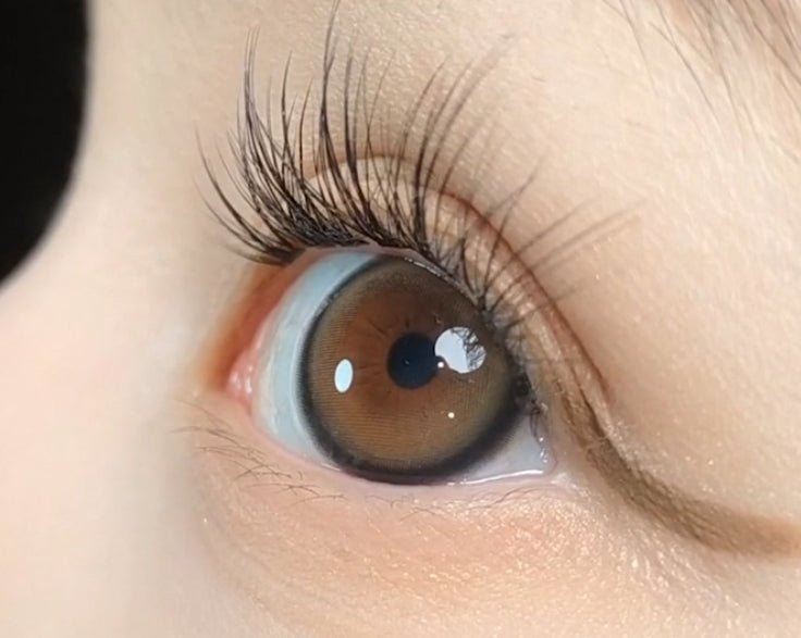 LensVery Sweetfy Brown colored contact lens, 13.3mm graphic diameter, Monthly wear