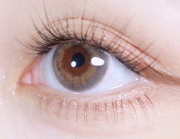 LensVery Taro Jeom Grege Gray (10p)