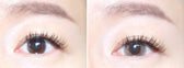 LensVery Taro Jeom Grege Gray (10p) colored contact lens, 13.2mm graphic diameter, Daily wear