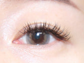 LensVery Taro Jeom Grege Gray (10p) colored contact lens, 13.2mm graphic diameter, Daily wear