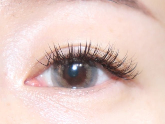 LensVery Taro Jeom Grege Gray (10p) colored contact lens, 13.2mm graphic diameter, Daily wear