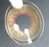 LensVery Vellica Brown colored contact lens, 13.0mm graphic diameter, Monthly wear