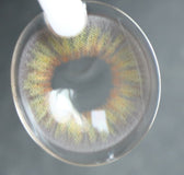LensVery Vellica Gray colored contact lens, 13.0mm graphic diameter, Monthly wear
