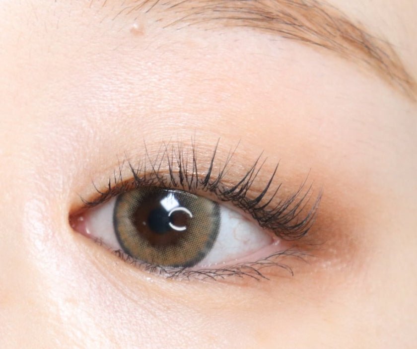 LensVery Wonder Eye Brown colored contact lens, 13.4mm graphic diameter, Monthly wear