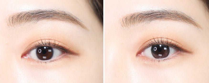 O2O2 Color Blending Rose EX (30p)