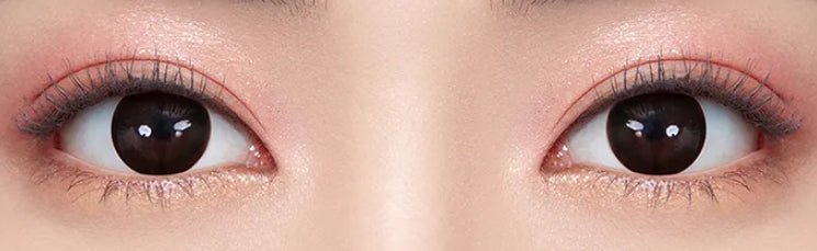 Olens Belita Mocha Choco colored contact lens, 13.8mm graphic diameter, Monthly wear