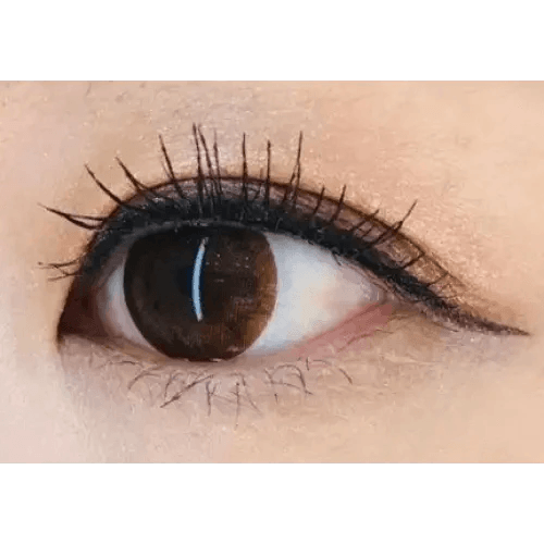 Olens BS 21 Brown Toric colored contact lens, 13.5mm graphic diameter, 3-6 Months wear