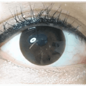 Olens BT Choco Black — single-eye close-up showing the contact lens appearance