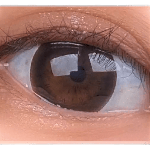 Olens BT Choco Black — single-eye close-up showing the contact lens appearance
