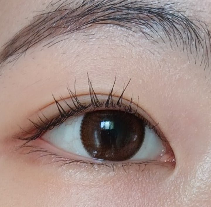 Olens Classi Artring Brown colored contact lens, 13.0mm graphic diameter, 3-6 Months wear