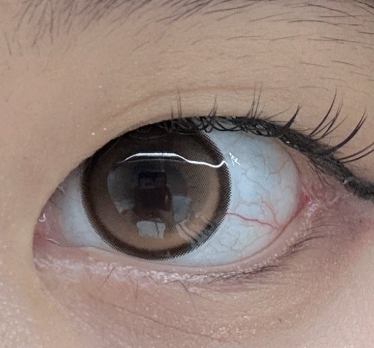 Olens EOTD Mocha Brown colored contact lens, 13.8mm graphic diameter, Monthly wear