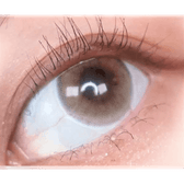 Olens French Shine 1Day Hazel (20p)