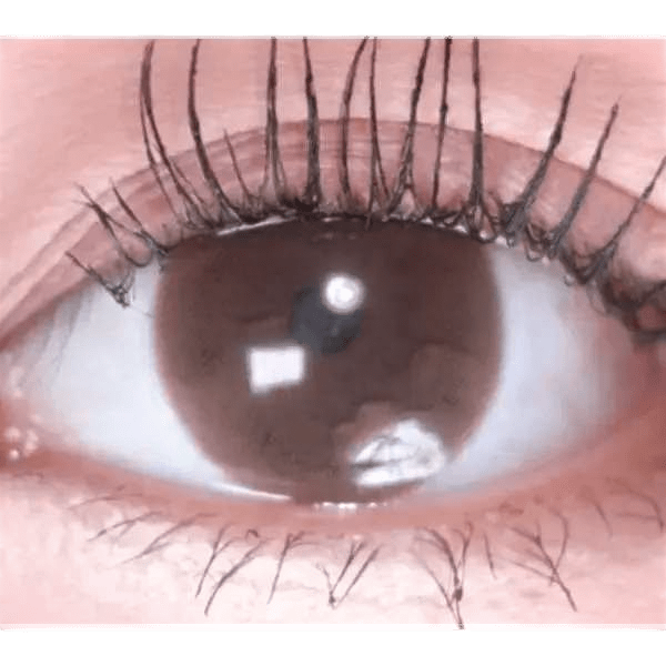 Olens From Choco — single-eye close-up showing the contact lens appearance