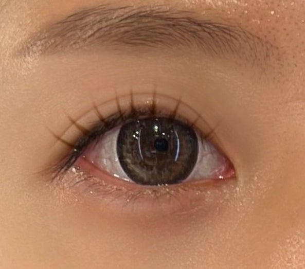 Olens LAVI B Brown colored contact lens, 13.5mm graphic diameter, 3-6 Months wear