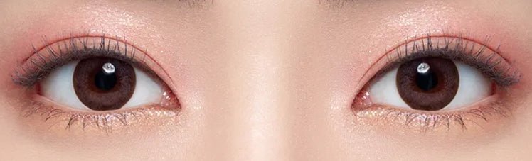 Olens LAVI B Brown colored contact lens, 13.5mm graphic diameter, 3-6 Months wear