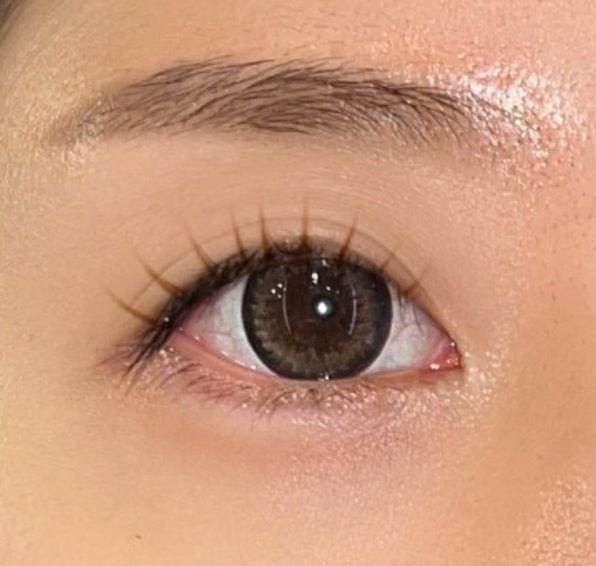 Olens LAVI B Brown colored contact lens, 13.5mm graphic diameter, 3-6 Months wear