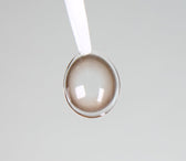 Olens Misty Natural Choco (20p) colored contact lens, 13.1mm graphic diameter, Daily wear