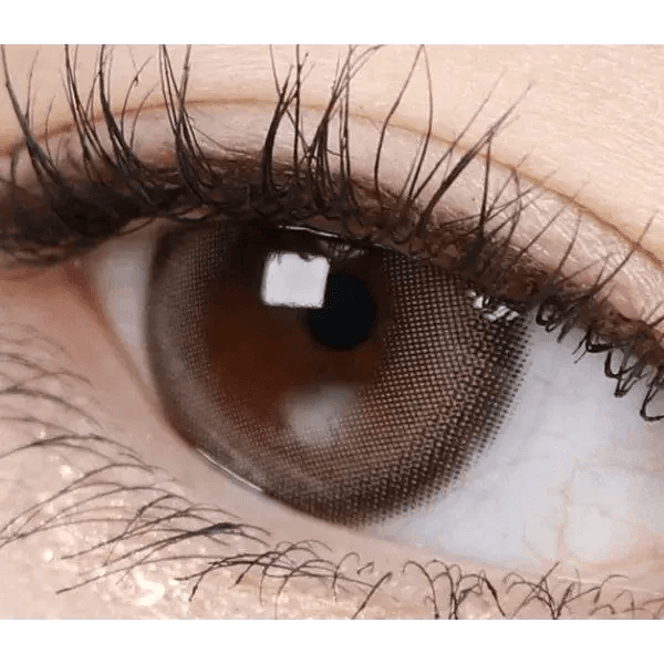 Olens Mood Night 1Day Mood Brown (10p) colored contact lens, 13.3mm graphic diameter, Daily wear