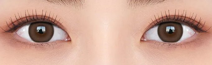 Olens Mood Night Mood Choco colored contact lens, 13.3mm graphic diameter, Monthly wear