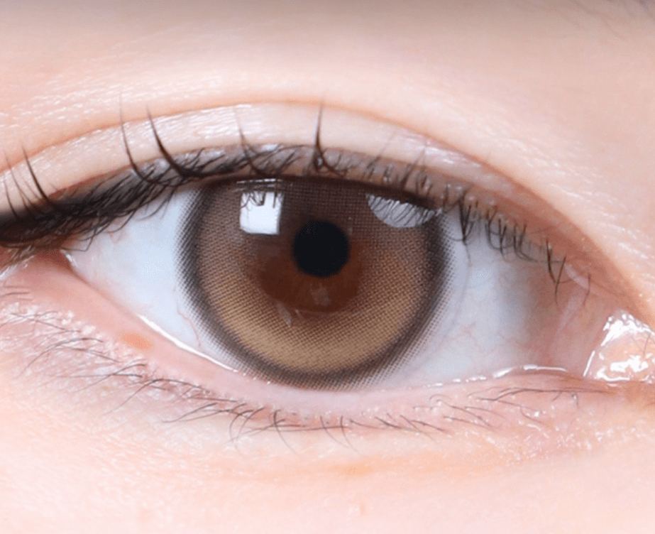 Olens Muse Shine Brown colored contact lens, 13.3mm graphic diameter, Monthly wear