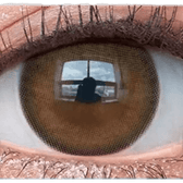 Olens Nils Brown — single-eye close-up showing the contact lens appearance
