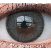 Olens Nils Gray — single-eye close-up showing the contact lens appearance