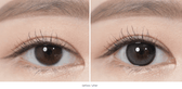 Olens Rain Black (10p) colored contact lens, 13.5mm graphic diameter, Daily wear