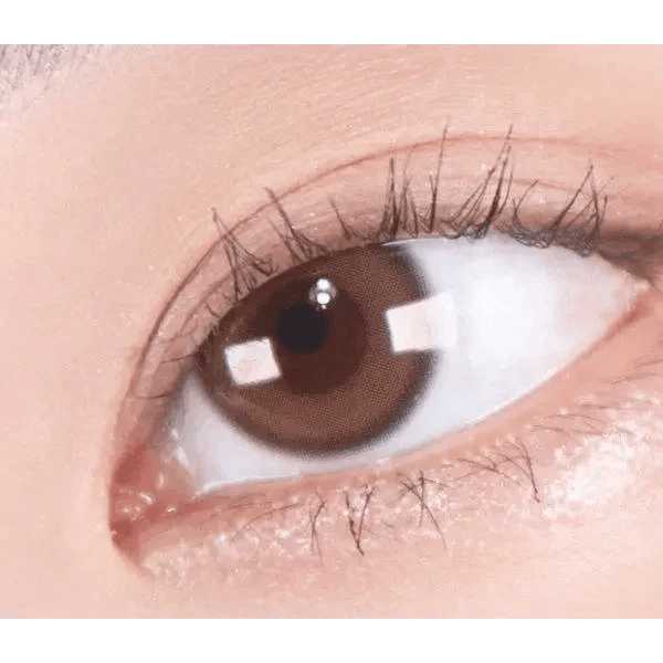 Olens Real Ring 1Day Brown (10p) colored contact lens, 12.5mm graphic diameter, Daily wear