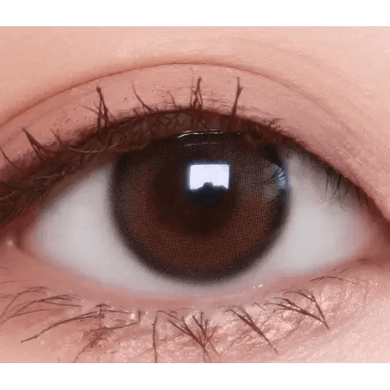 Olens Real Ring 1Day Brown (10p) colored contact lens, 12.5mm graphic diameter, Daily wear