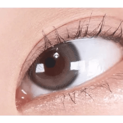 Olens Real Ring 1Day Gray (10p) colored contact lens, 12.5mm graphic diameter, Daily wear