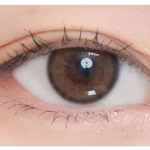 Olens Real Ring Brown — single-eye close-up showing the contact lens appearance