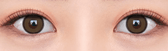 Olens Realish Brown colored contact lens, 13.5mm graphic diameter, Monthly wear