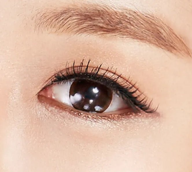 Olens SCL Choco colored contact lens, 13.7mm graphic diameter, 3-6 Months wear