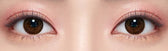 Olens SCL HI Choco Brown colored contact lens, 13.5mm graphic diameter, 3-6 Months wear