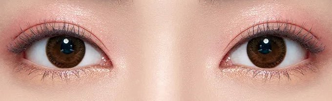 Olens SCL HI Choco Brown colored contact lens, 13.5mm graphic diameter, 3-6 Months wear