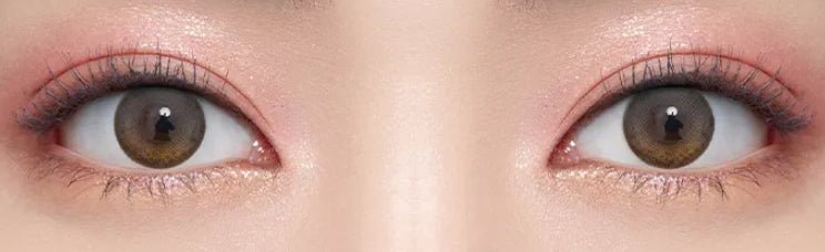 Olens Secret Star Brown colored contact lens, 12.9mm graphic diameter, Monthly wear