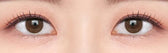 OLENS Shine Touch Milky 1Day Choco (10p)