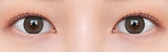 Olens TT3 Beige Brown colored contact lens, 13.3mm graphic diameter, 3-6 Months wear