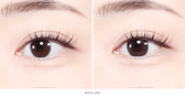 Olens TT3 Brown colored contact lens, 13.3mm graphic diameter, 3-6 Months wear