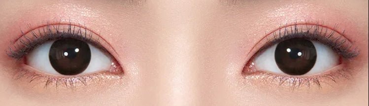 Olens Vi Fine Black colored contact lens, 13.2mm graphic diameter, Monthly wear