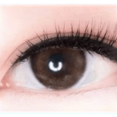 Olens ViVi Ring 1Day Choco (10p) — single-eye close-up showing the contact lens appearance