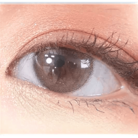 Olens ViVi Ring 1Day Choco (10p) — single-eye close-up showing the contact lens appearance