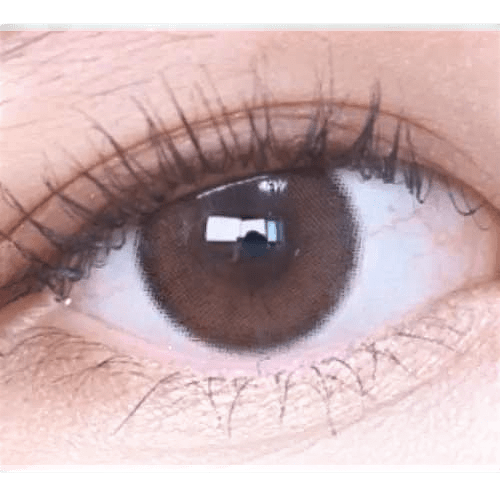 Olens ViVi Ring 1Day Choco (10p) — single-eye close-up showing the contact lens appearance