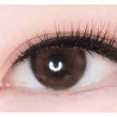 Olens ViVi Ring 1Day Choco (20p) — single-eye close-up showing the contact lens appearance