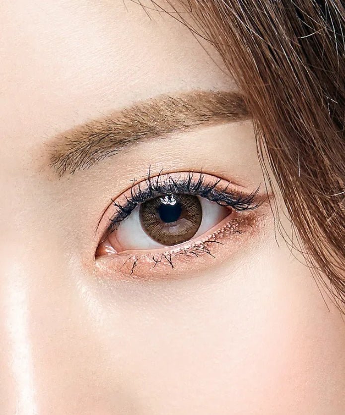 Olens Winky Star Brown