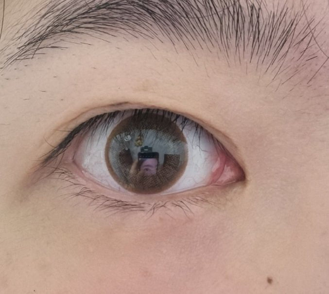 Olens Winky Star Brown